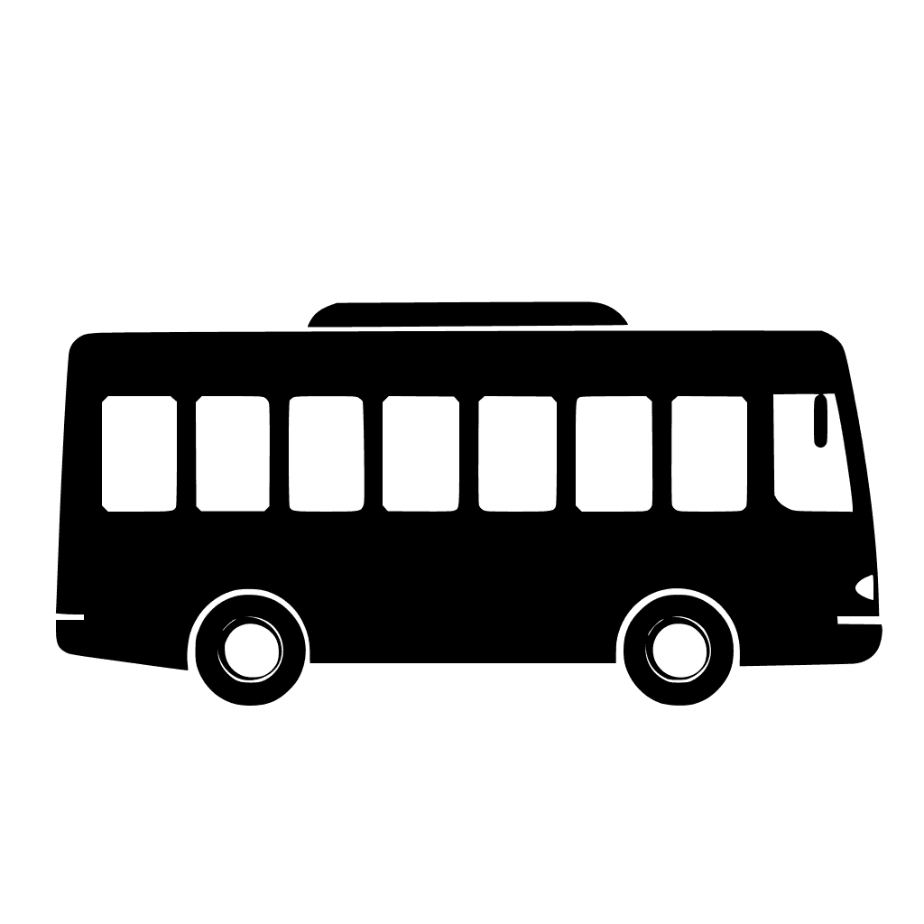 Public transport (bus or tram)