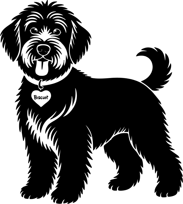 Before design